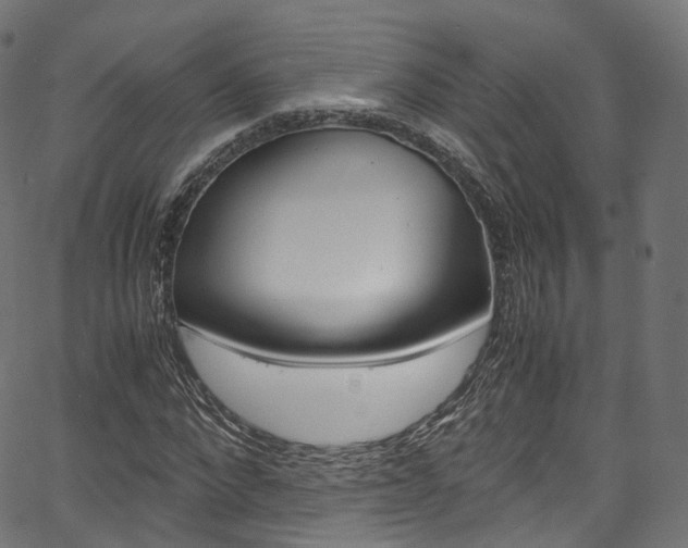 X0000067400872200603311018