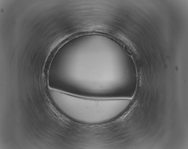 X0000067400876200603311018