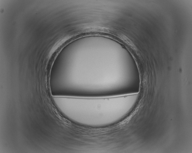 X0000067400877200603311018