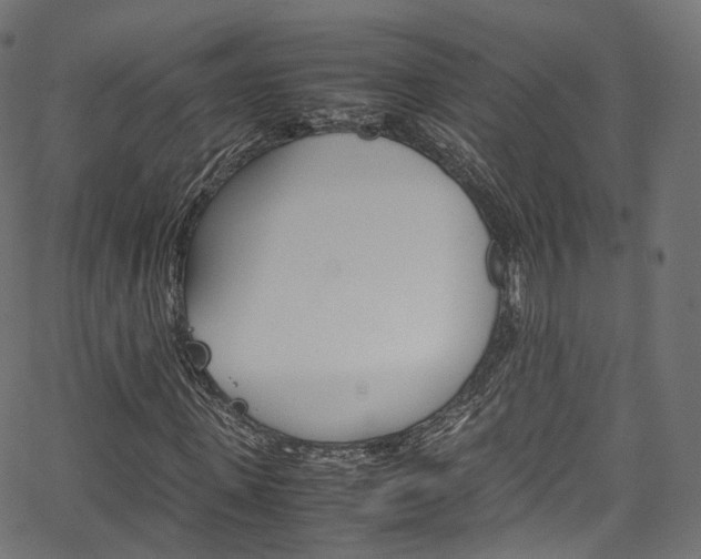 X0000067400915200603311016