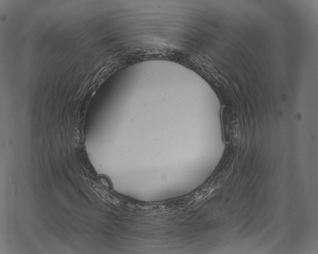X0000067400916200603311016