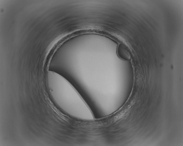 X0000067400927200603311017