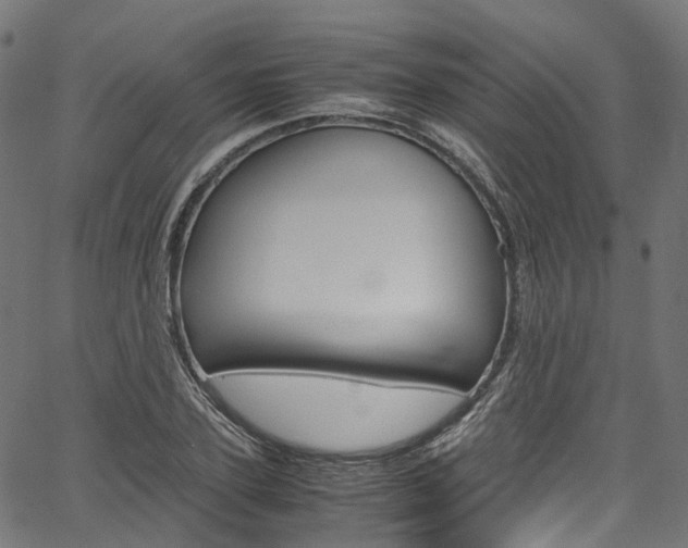 X0000067400931200603311017