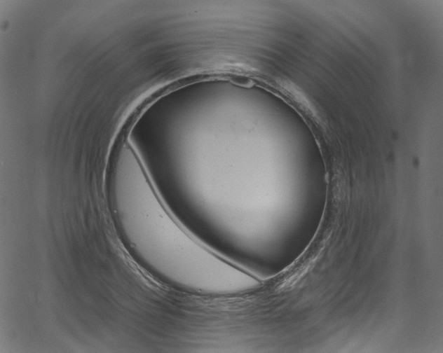 X0000067400932200603311017