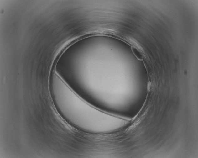 X0000067400940200603311017