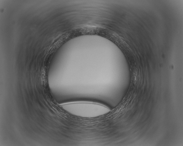 X0000067400964200603311016