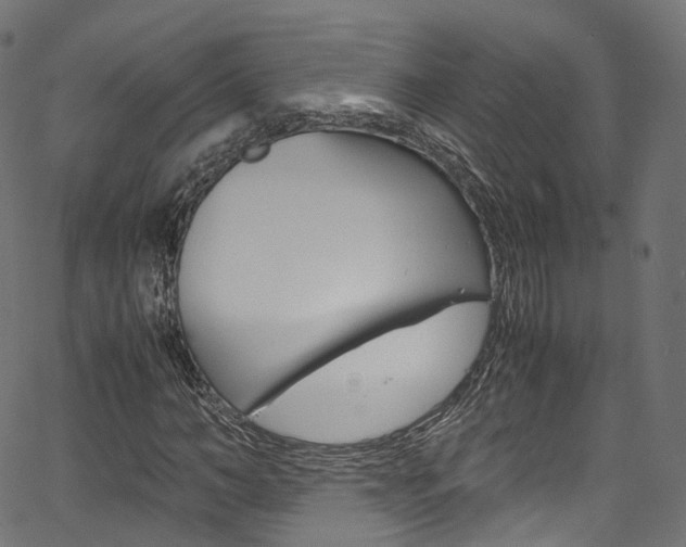 X0000067400966200603311016