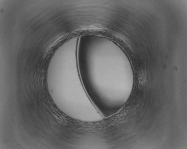 X0000067400968200603311016