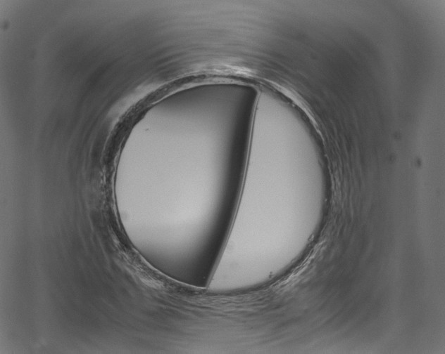 X0000067400971200603311016