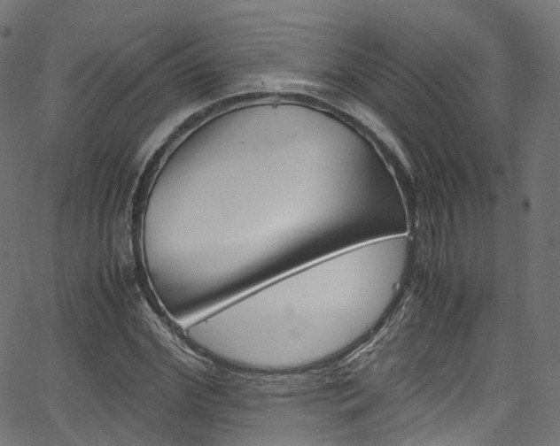 X0000067400972200603311016