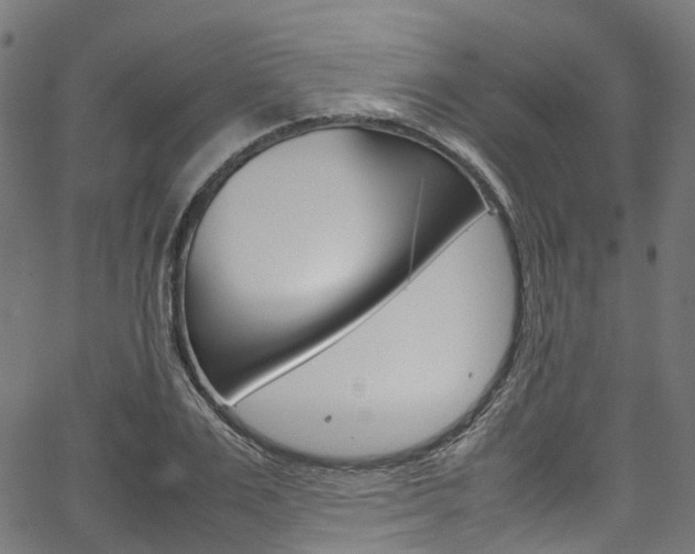 X0000067400983200603311016