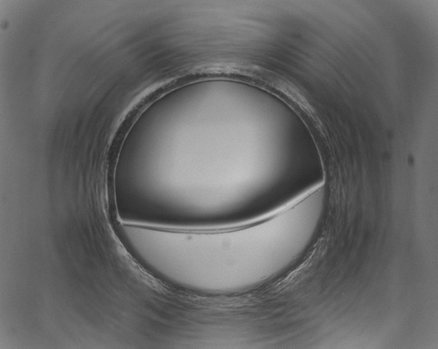 X0000067400984200603311016