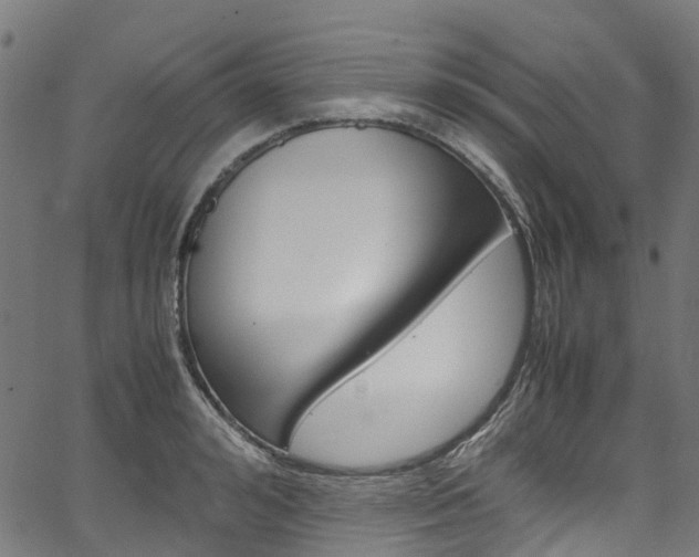 X0000067400992200603311016