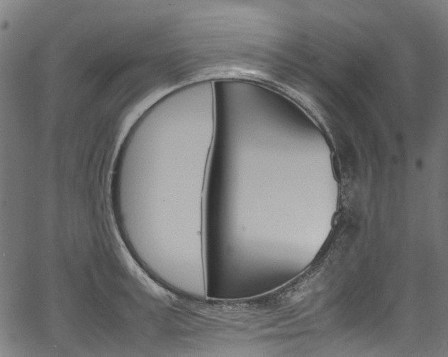 X0000067400995200603311016