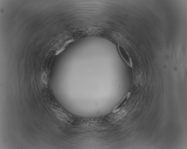 X0000067401010200603311015