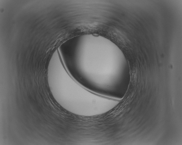 X0000067401012200603311015