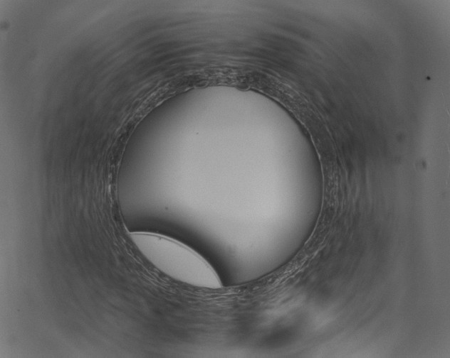 X0000067401013200603311015
