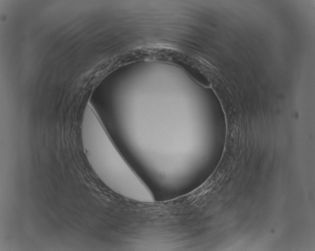 X0000067401014200603311015