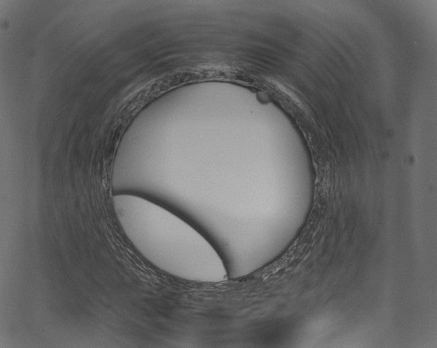 X0000067401015200603311015