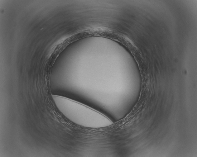 X0000067401016200603311015