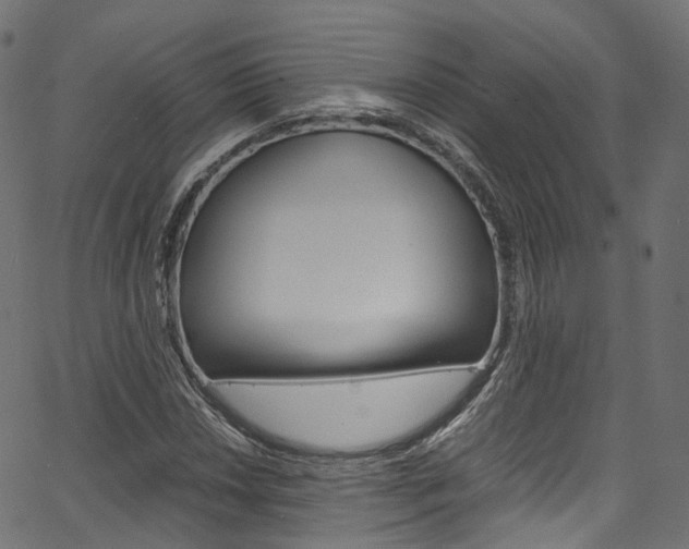 X0000067401018200603311015