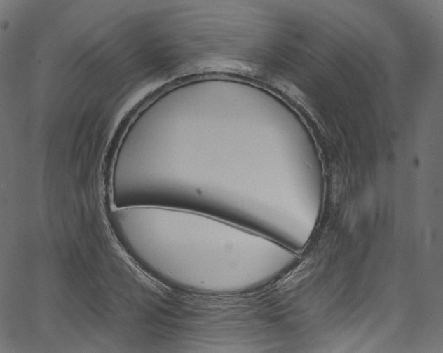 X0000067401024200603311015
