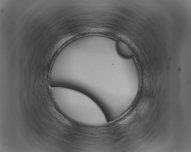 X0000067401025200603311015