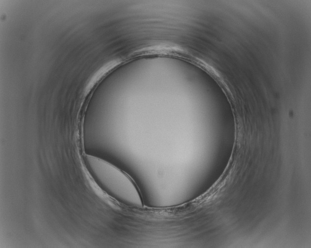 X0000067401042200603311015