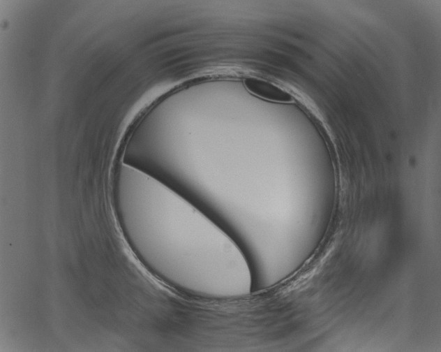 X0000067401045200603311015