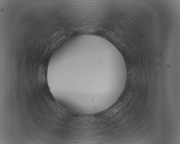 X0000067401058200603311015
