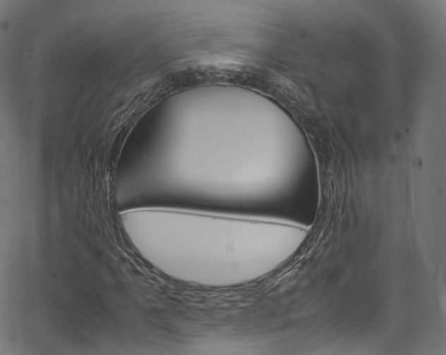 X0000067401061200603311015