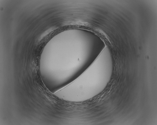 X0000067401064200603311015