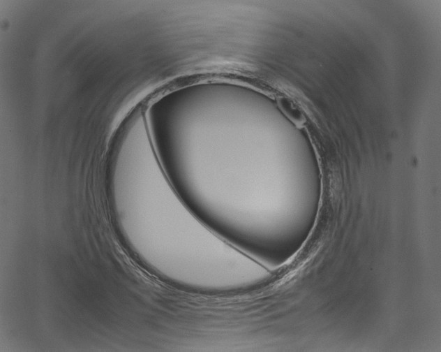 X0000067401069200603311015