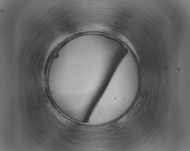 X0000067401072200603311015