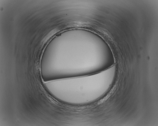 X0000067401073200603311015