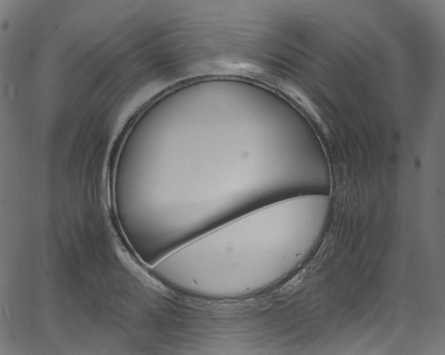 X0000067401080200603311014