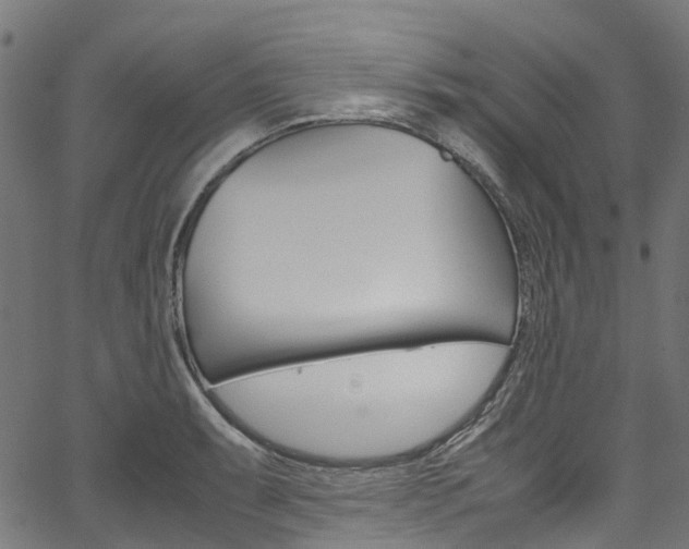 X0000067401087200603311014