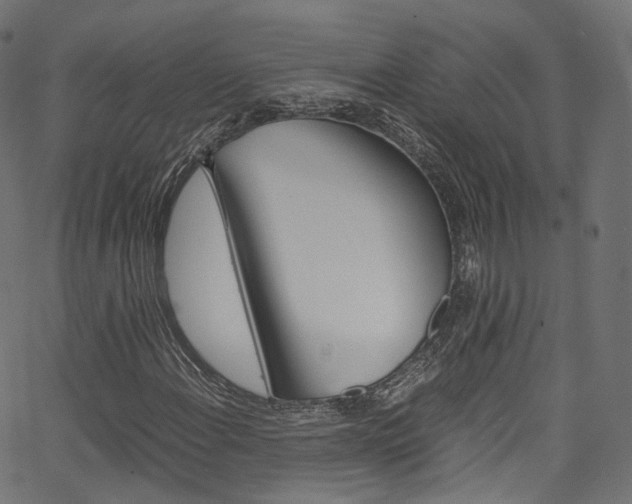 X0000067401108200603311013