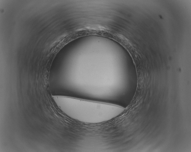 X0000067401110200603311013