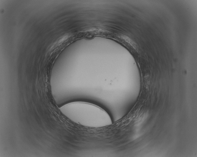 X0000067401111200603311013