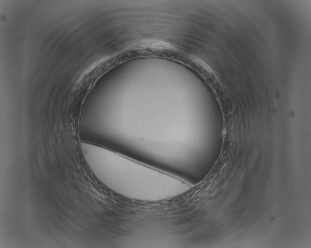 X0000067401112200603311013
