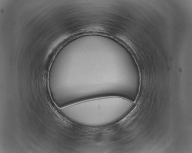 X0000067401115200603311013