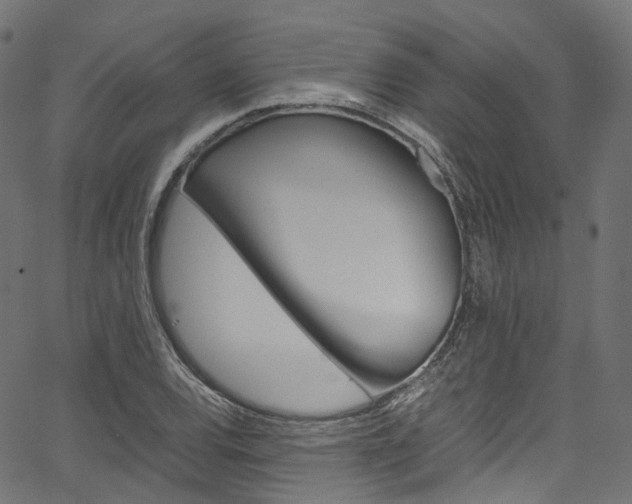 X0000067401120200603311014