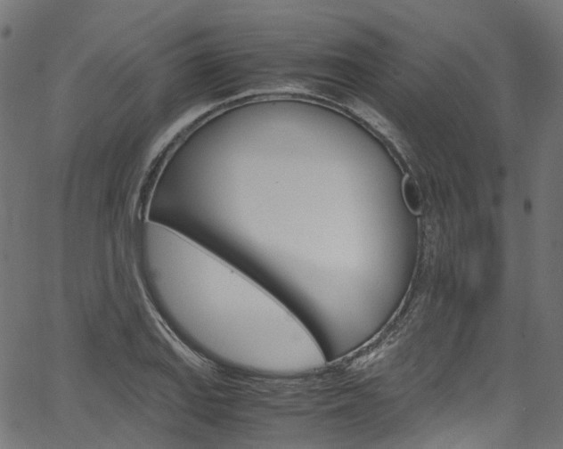 X0000067401127200603311014