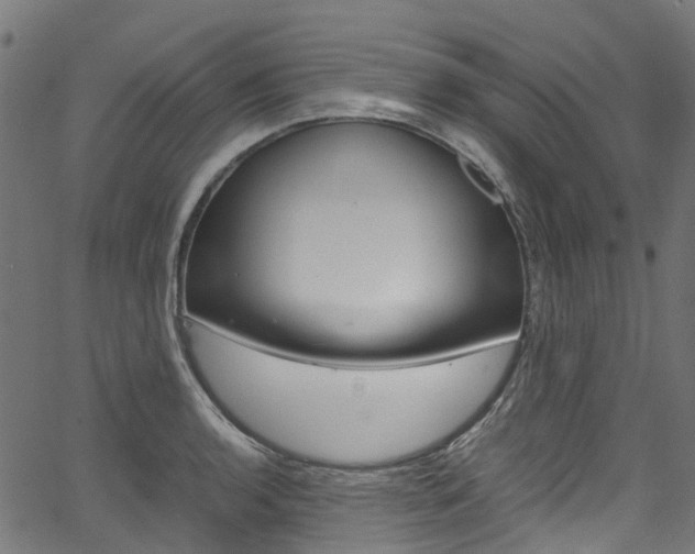 X0000067401136200603311014