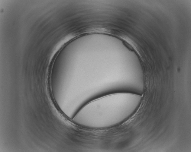 X0000067401139200603311014