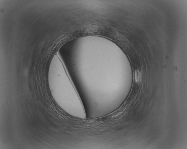 X0000067401155200603311013