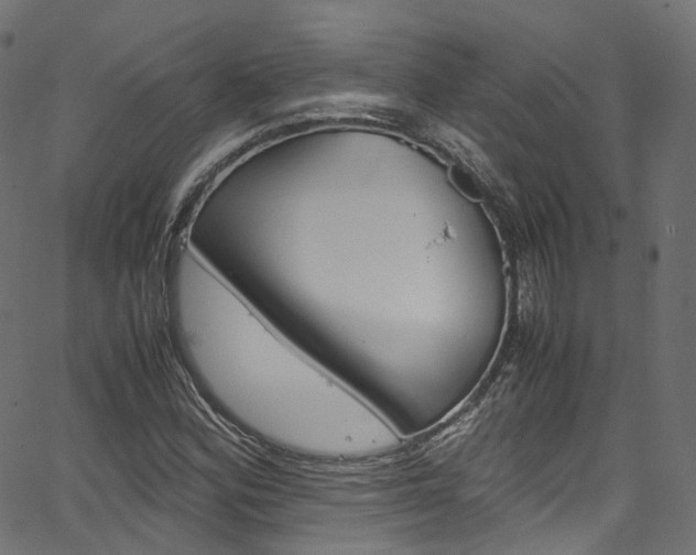 X0000067401164200603311013