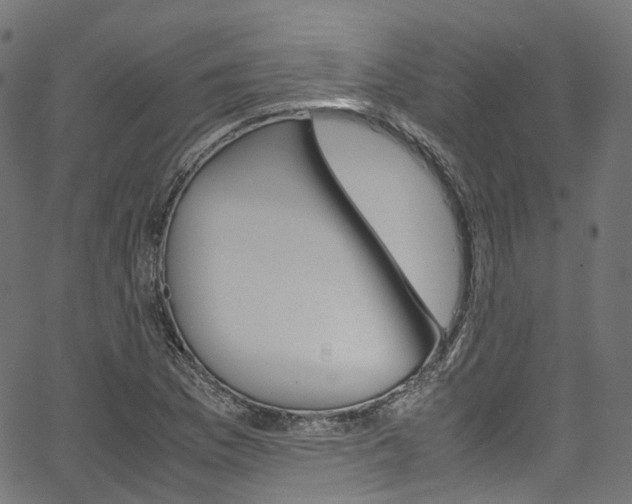X0000067401169200603311013