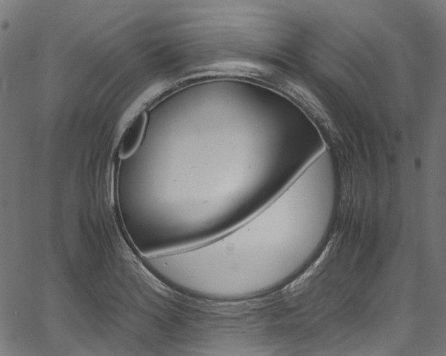 X0000067401180200603311013